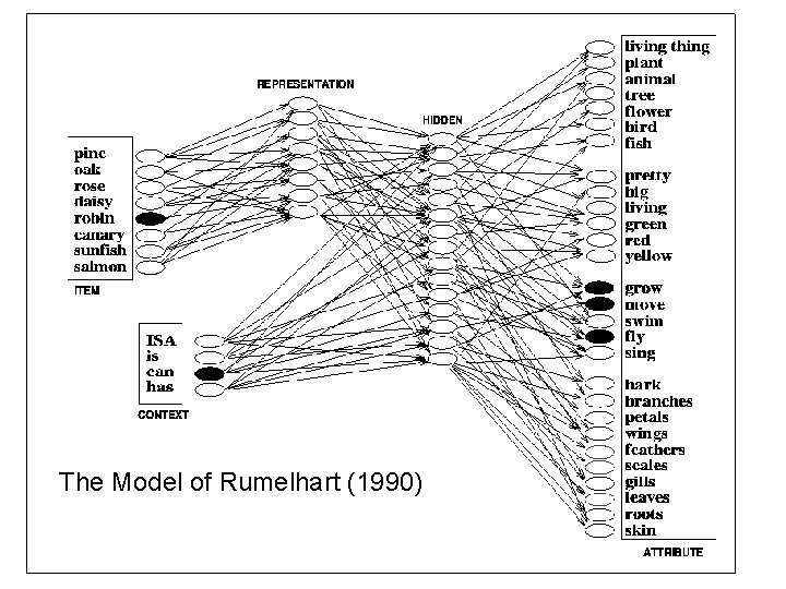 The Model of Rumelhart (1990) 