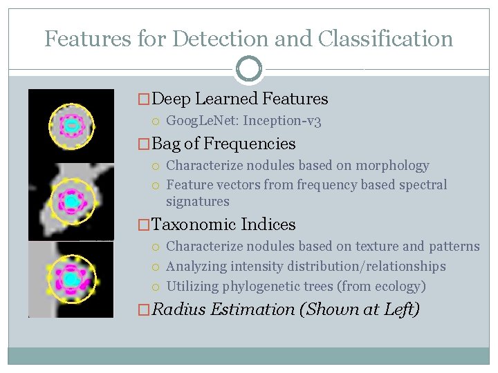 Automatic Lung Nodule Detection and Classification Using Hand