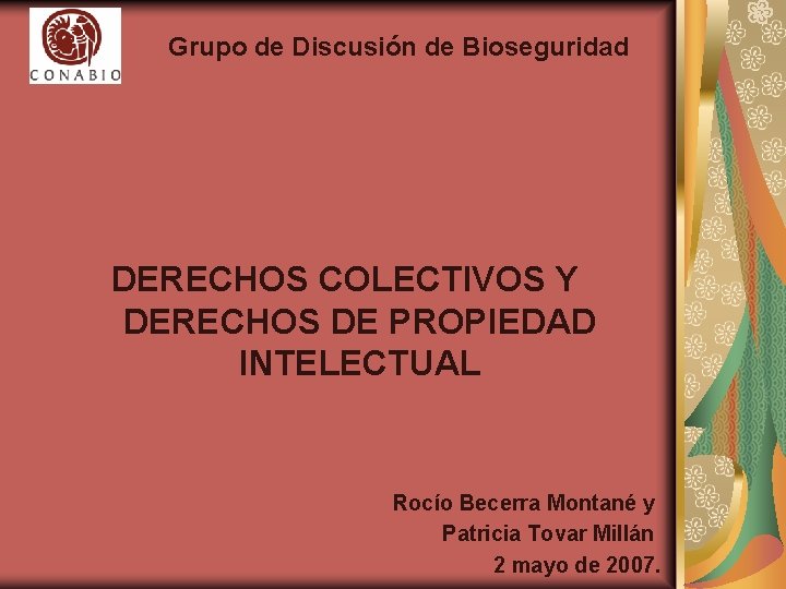 Grupo de Discusión de Bioseguridad DERECHOS COLECTIVOS Y DERECHOS DE PROPIEDAD INTELECTUAL Rocío Becerra