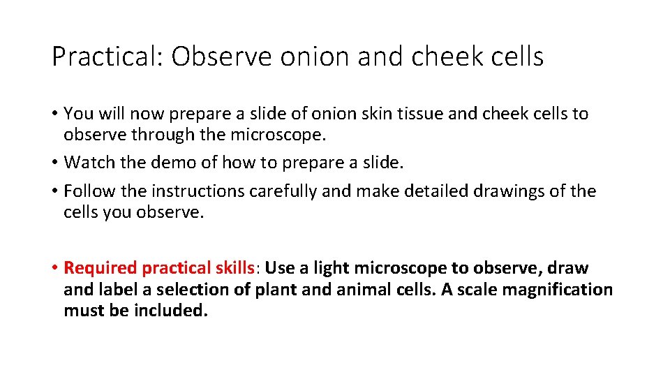 Practical: Observe onion and cheek cells • You will now prepare a slide of