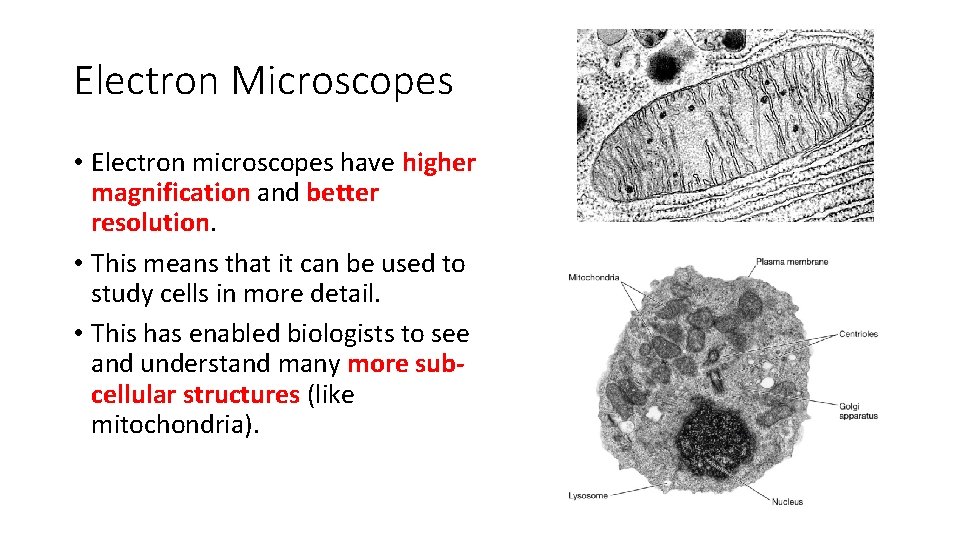 Electron Microscopes • Electron microscopes have higher magnification and better resolution. • This means