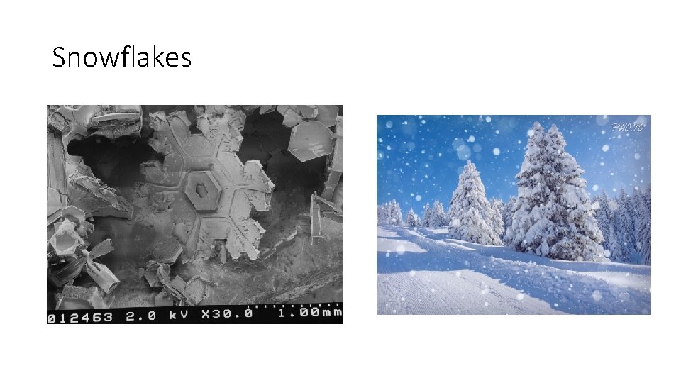 Snowflakes 