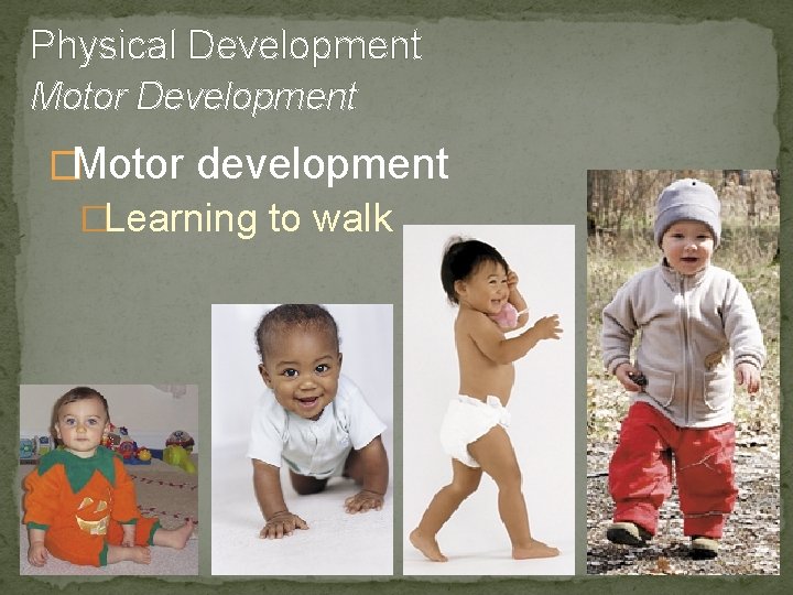 Physical Development Motor Development �Motor development �Learning to walk 