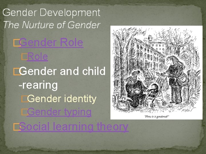 Gender Development The Nurture of Gender �Gender Role �Gender and child -rearing �Gender identity