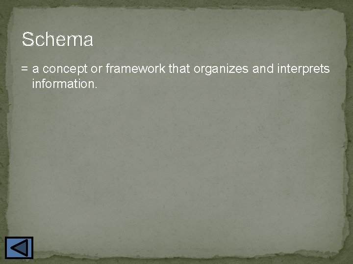 Schema = a concept or framework that organizes and interprets information. 