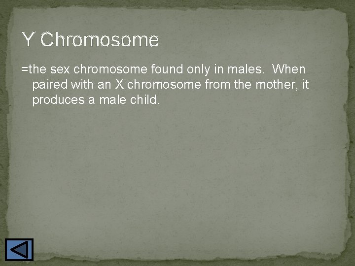 Y Chromosome =the sex chromosome found only in males. When paired with an X