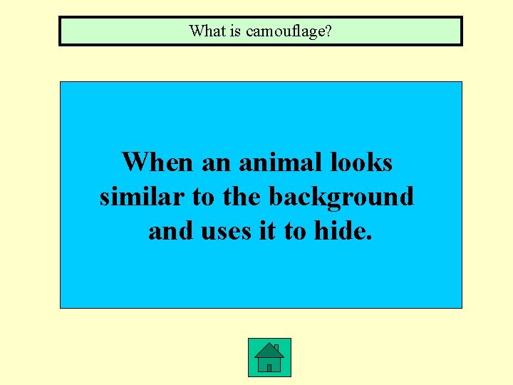 What is camouflage? When an animal looks similar to the background and uses it
