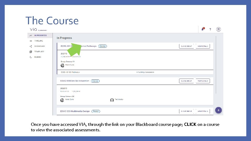 The Course Once you have accessed VIA, through the link on your Blackboard course