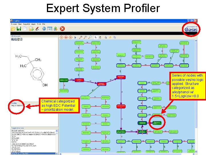 Expert System Profiler Series of nodes with possible yes/no logic applied. Structure categorized as