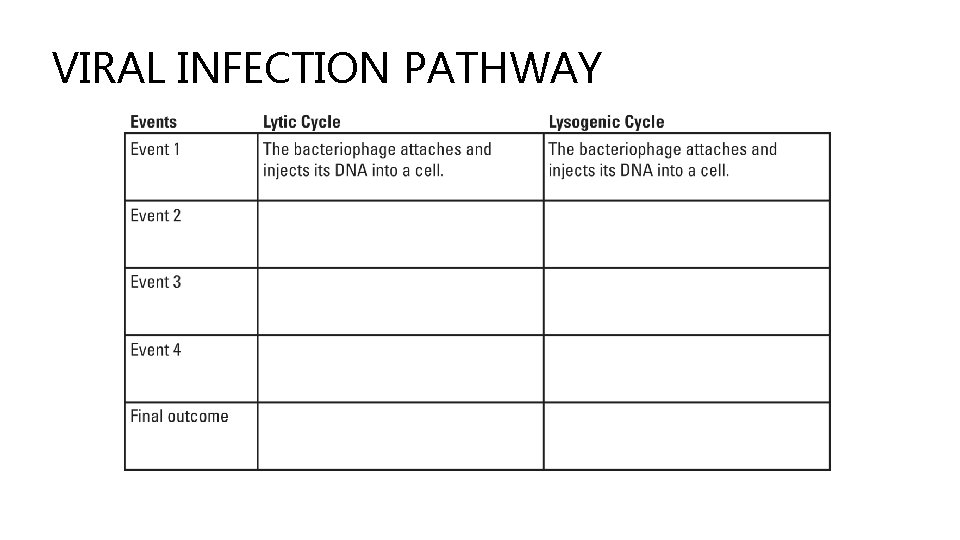 VIRAL INFECTION PATHWAY 