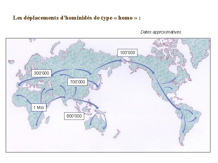 Les déplacements d’hominidés de type « homo » : Dates approximatives 100’ 000 300’