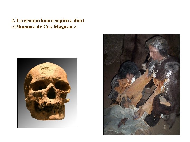 2. Le groupe homo sapiens, dont « l’homme de Cro-Magnon » 