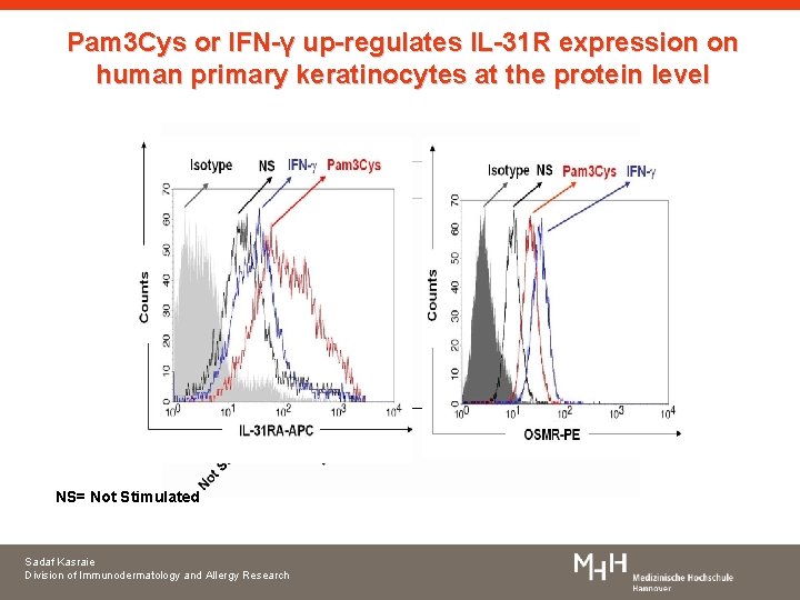 Pam 3 Cys or IFN-γ up-regulates IL-31 R expression on human primary keratinocytes at