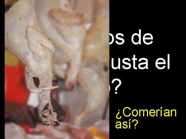 ¿Cuántos de Uds. les gusta el pollo? ¿Comerían así? 