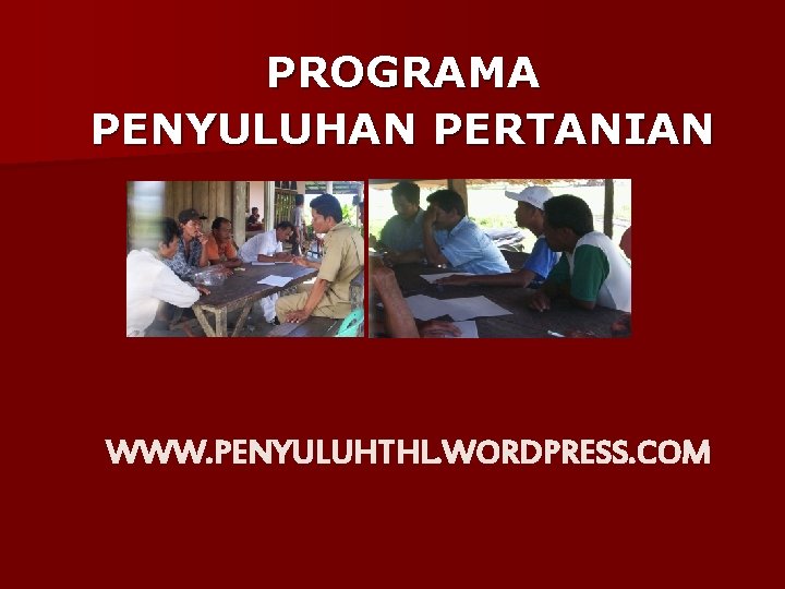 PROGRAMA PENYULUHAN PERTANIAN WWW. PENYULUHTHL. WORDPRESS. COM PROGRAMA PENYULUHAN PERTANIAN WWW. PENYULUHTHL. WORDPRESS. COM