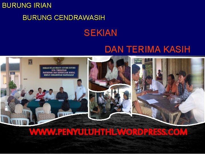 BURUNG IRIAN BURUNG CENDRAWASIH SEKIAN DAN TERIMA KASIH Pusat Pengembangan Penyuluhan BPSDM-KP Pantai teluk BURUNG IRIAN BURUNG CENDRAWASIH SEKIAN DAN TERIMA KASIH Pusat Pengembangan Penyuluhan BPSDM-KP Pantai teluk