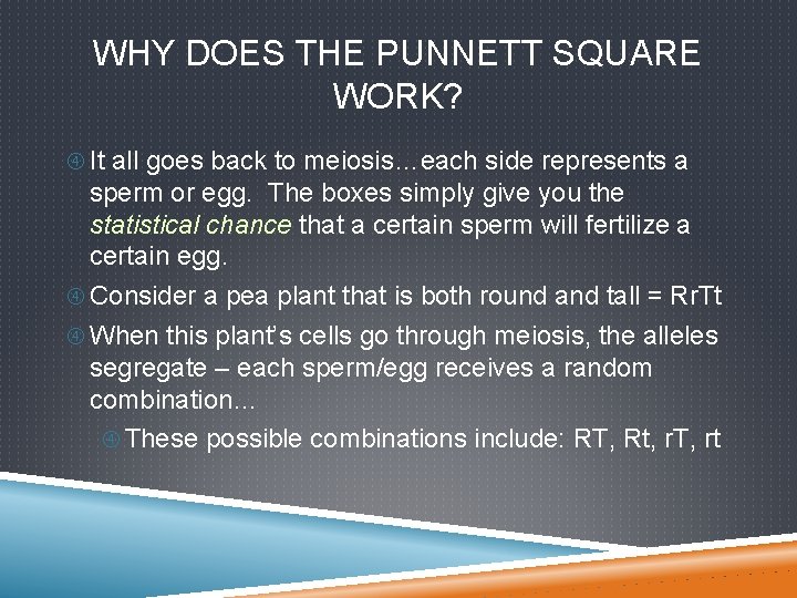 WHY DOES THE PUNNETT SQUARE WORK? It all goes back to meiosis…each side represents