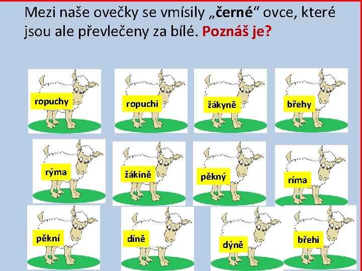 Mezi naše ovečky se vmísily „černé“ ovce, které jsou ale převlečeny za bílé. Poznáš