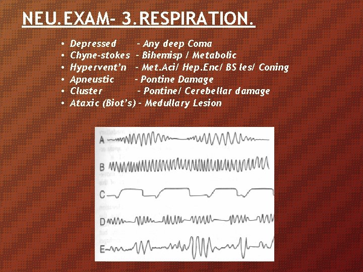 NEU. EXAM- 3. RESPIRATION. • • • Depressed – Any deep Coma Chyne-stokes – NEU. EXAM- 3. RESPIRATION. • • • Depressed – Any deep Coma Chyne-stokes –