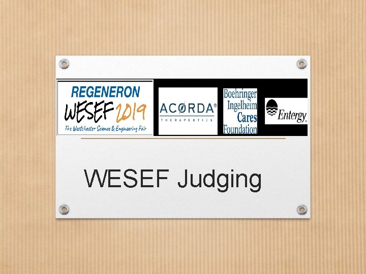 WESEF Judging 