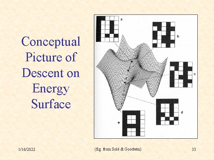 Conceptual Picture of Descent on Energy Surface 1/16/2022 (fig. from Solé & Goodwin) 33