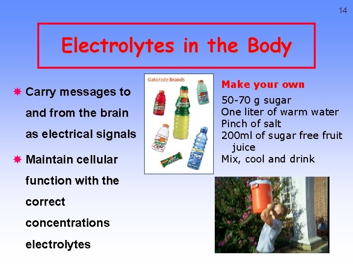 14 Electrolytes in the Body Carry messages to and from the brain as electrical