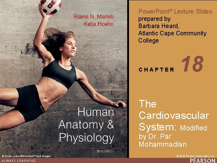 Power. Point® Lecture Slides prepared by Barbara Heard, Atlantic Cape Community College CHAPTER 18