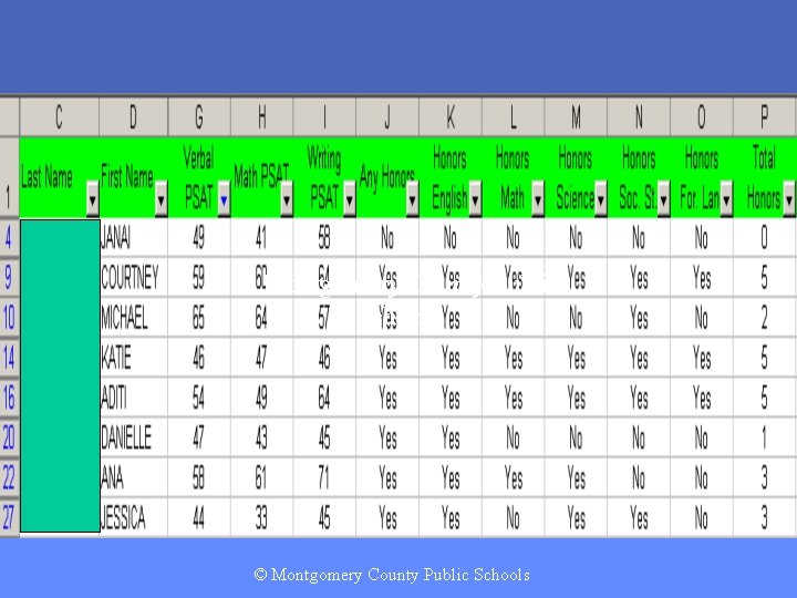 © Montgomery County Public Schools MONTGOMERY COUNTY PUBLIC SCHOOLS • ROCKVILLE, MARYLAND 