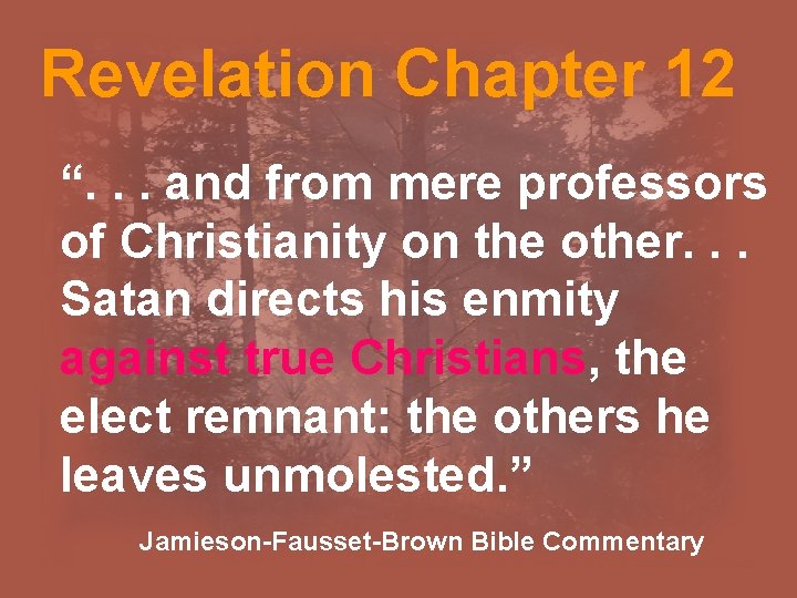 Revelation Chapter 12 “. . . and from mere professors of Christianity on the