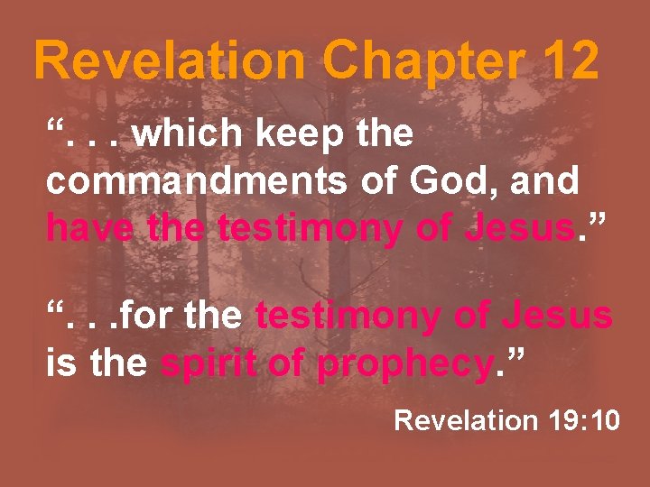 Revelation Chapter 12 “. . . which keep the commandments of God, and have