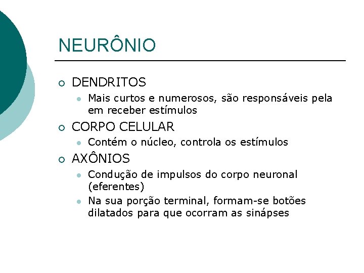 NEURÔNIO ¡ DENDRITOS l ¡ CORPO CELULAR l ¡ Mais curtos e numerosos, são