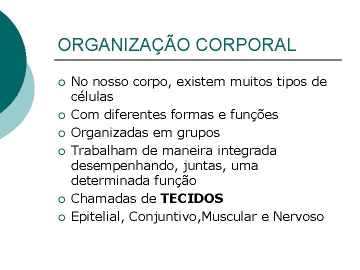 ORGANIZAÇÃO CORPORAL ¡ ¡ ¡ No nosso corpo, existem muitos tipos de células Com