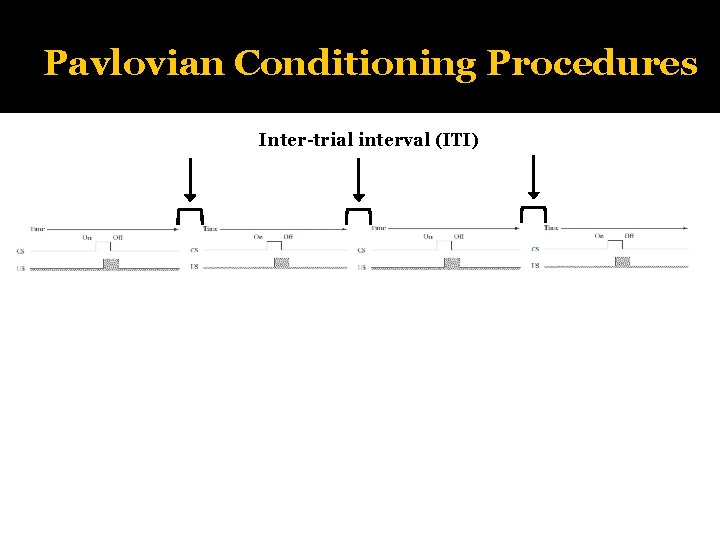 Pavlovian Conditioning Procedures Inter-trial interval (ITI) 