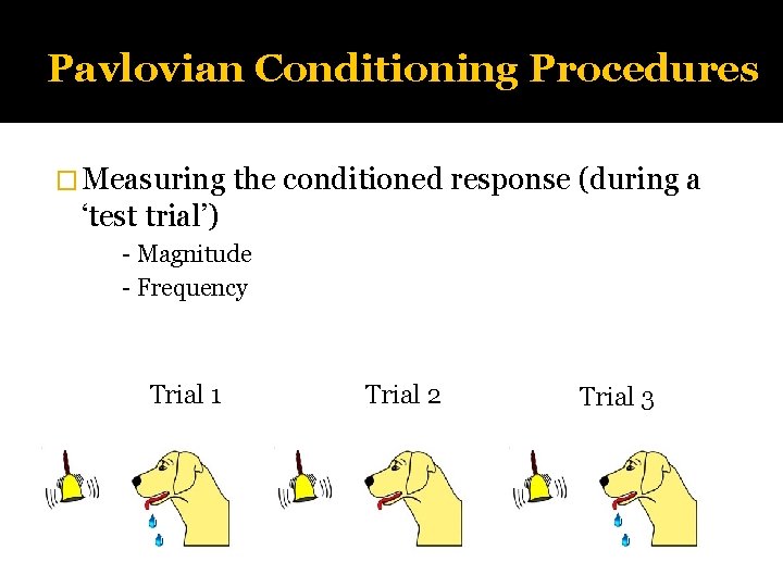 Pavlovian Conditioning Procedures � Measuring the conditioned response (during a ‘test trial’) - Magnitude