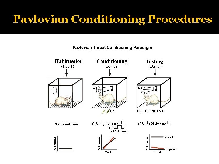 Pavlovian Conditioning Procedures CS presented at random times throughout session. No shocks are given.