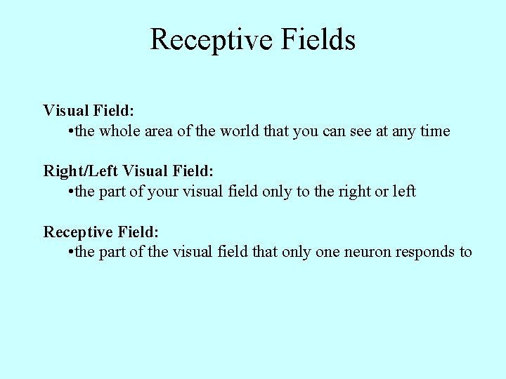 Receptive Fields Visual Field: • the whole area of the world that you can