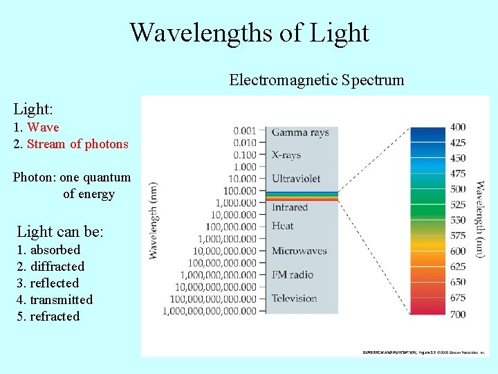 Wavelengths of Light Electromagnetic Spectrum Light: 1. Wave 2. Stream of photons Photon: one