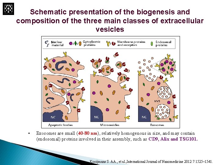 Schematic presentation of the biogenesis and composition of the three main classes of extracellular