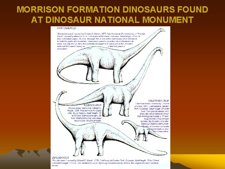 MORRISON FORMATION DINOSAURS FOUND AT DINOSAUR NATIONAL MONUMENT 