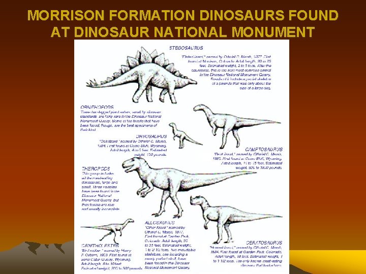 MORRISON FORMATION DINOSAURS FOUND AT DINOSAUR NATIONAL MONUMENT 