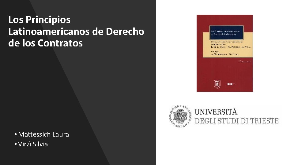 Los Principios Latinoamericanos de Derecho de los Contratos • Mattessich Laura • Virzì Silvia