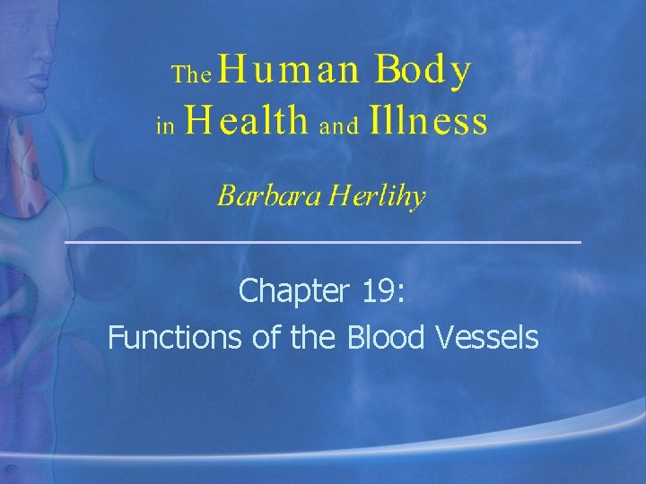 Chapter 19: Functions of the Blood Vessels 