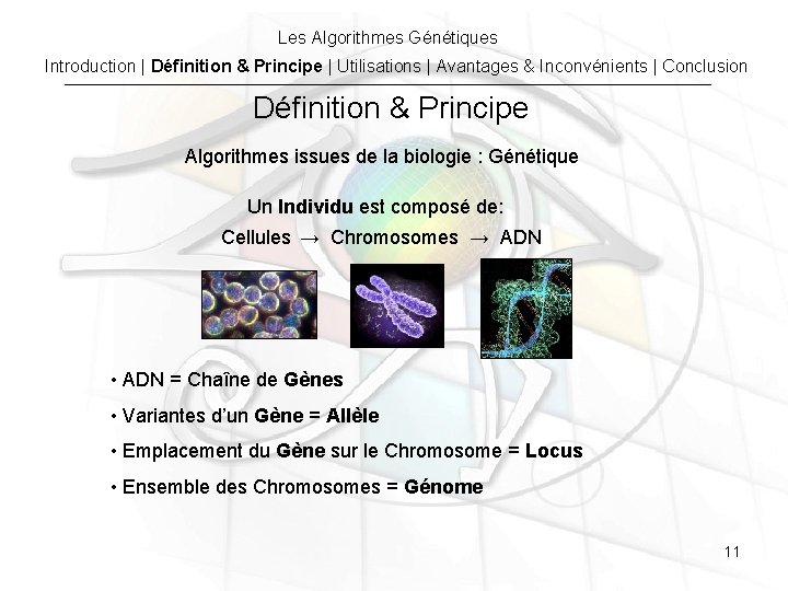 Les Algorithmes Génétiques Introduction | Définition & Principe | Utilisations | Avantages & Inconvénients Les Algorithmes Génétiques Introduction | Définition & Principe | Utilisations | Avantages & Inconvénients