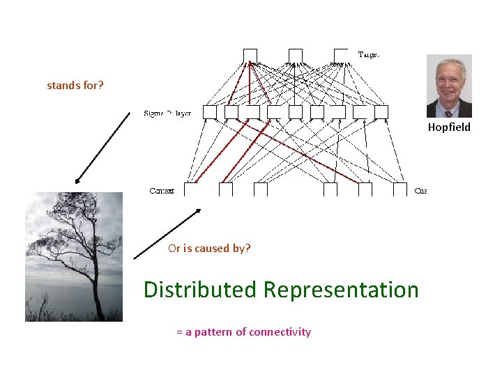 stands for? Hopfield Or is caused by? Distributed Representation = a pattern of connectivity stands for? Hopfield Or is caused by? Distributed Representation = a pattern of connectivity