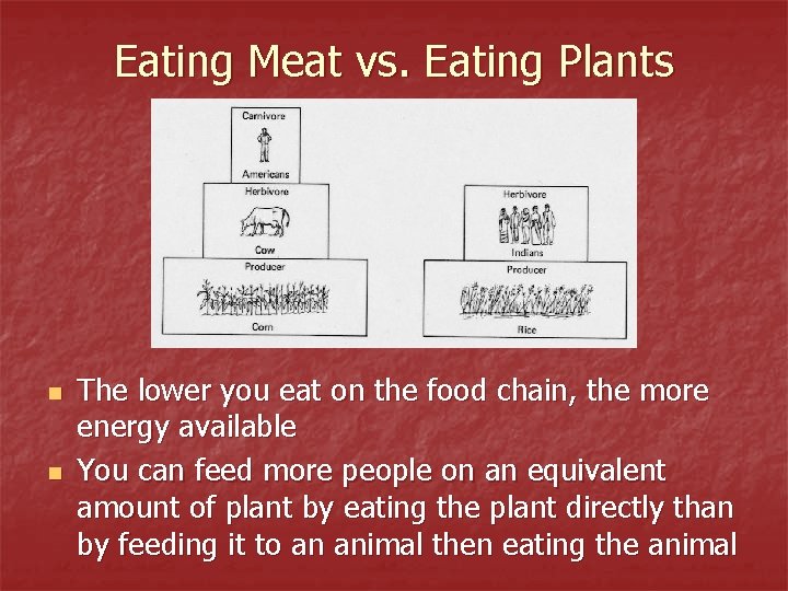 Eating Meat vs. Eating Plants n n The lower you eat on the food