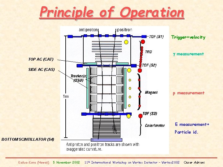 Principle of Operation Trigger+velocity g measurement TOP AC (CAT) SIDE AC (CAS) p measurement