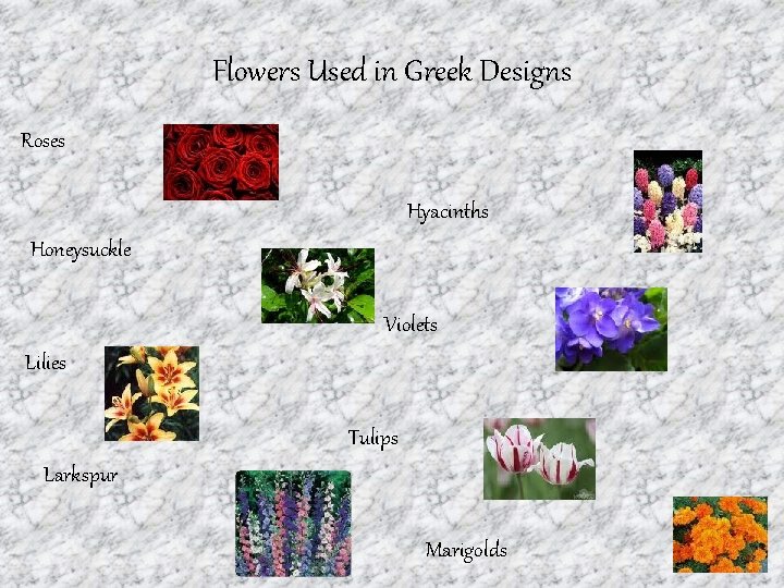Flowers Used in Greek Designs Roses Hyacinths Honeysuckle Violets Lilies Tulips Larkspur Marigolds 
