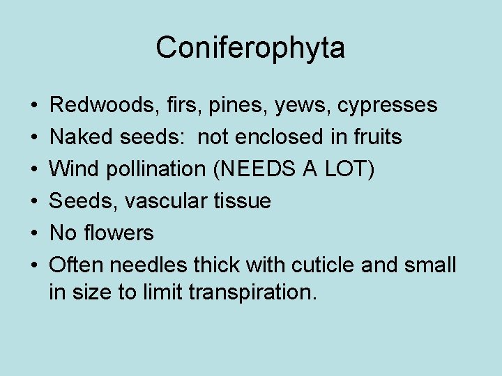 Coniferophyta • • • Redwoods, firs, pines, yews, cypresses Naked seeds: not enclosed in