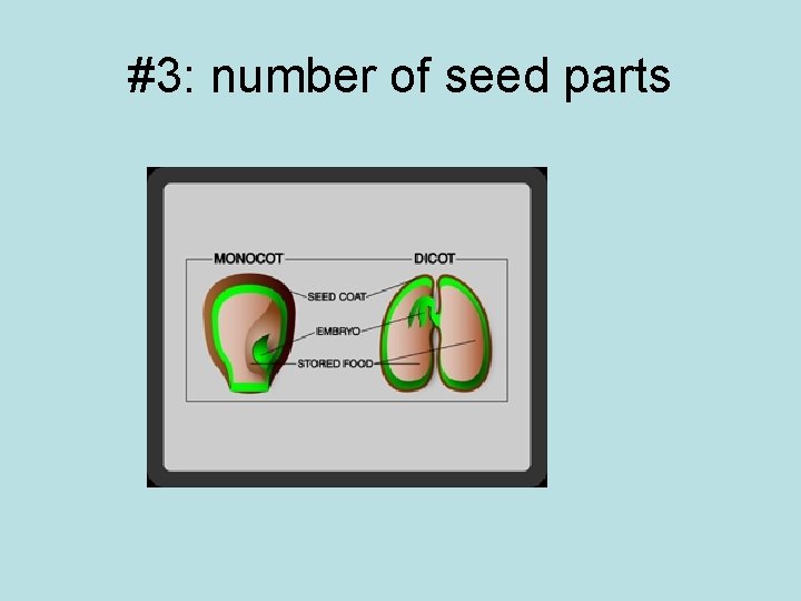 #3: number of seed parts 