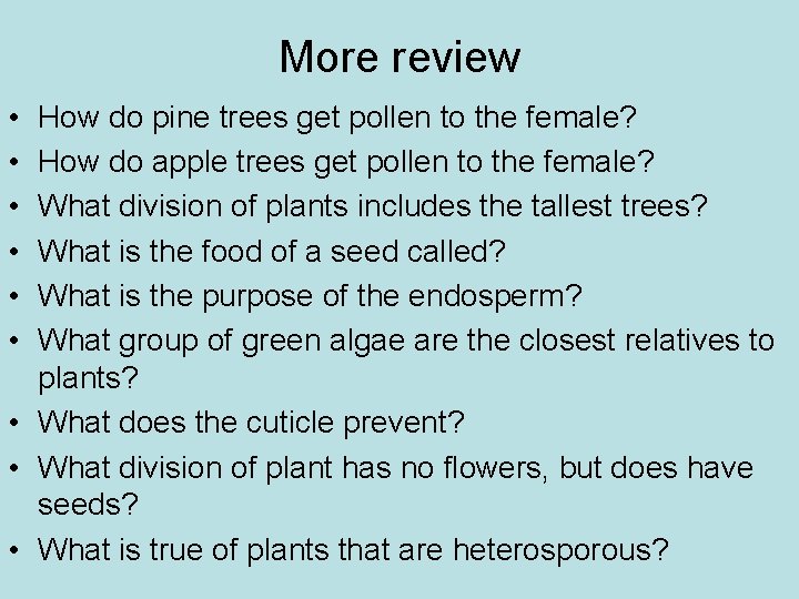 More review • • • How do pine trees get pollen to the female?